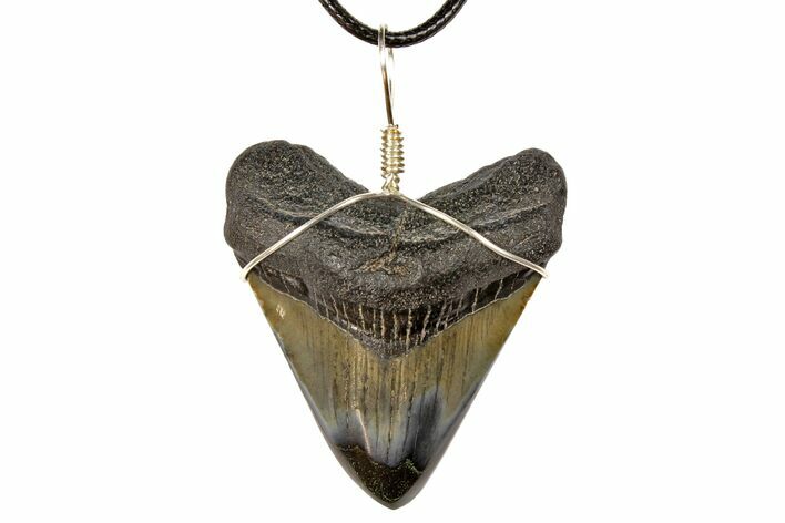 2.1" Fossil Megalodon Tooth Necklace